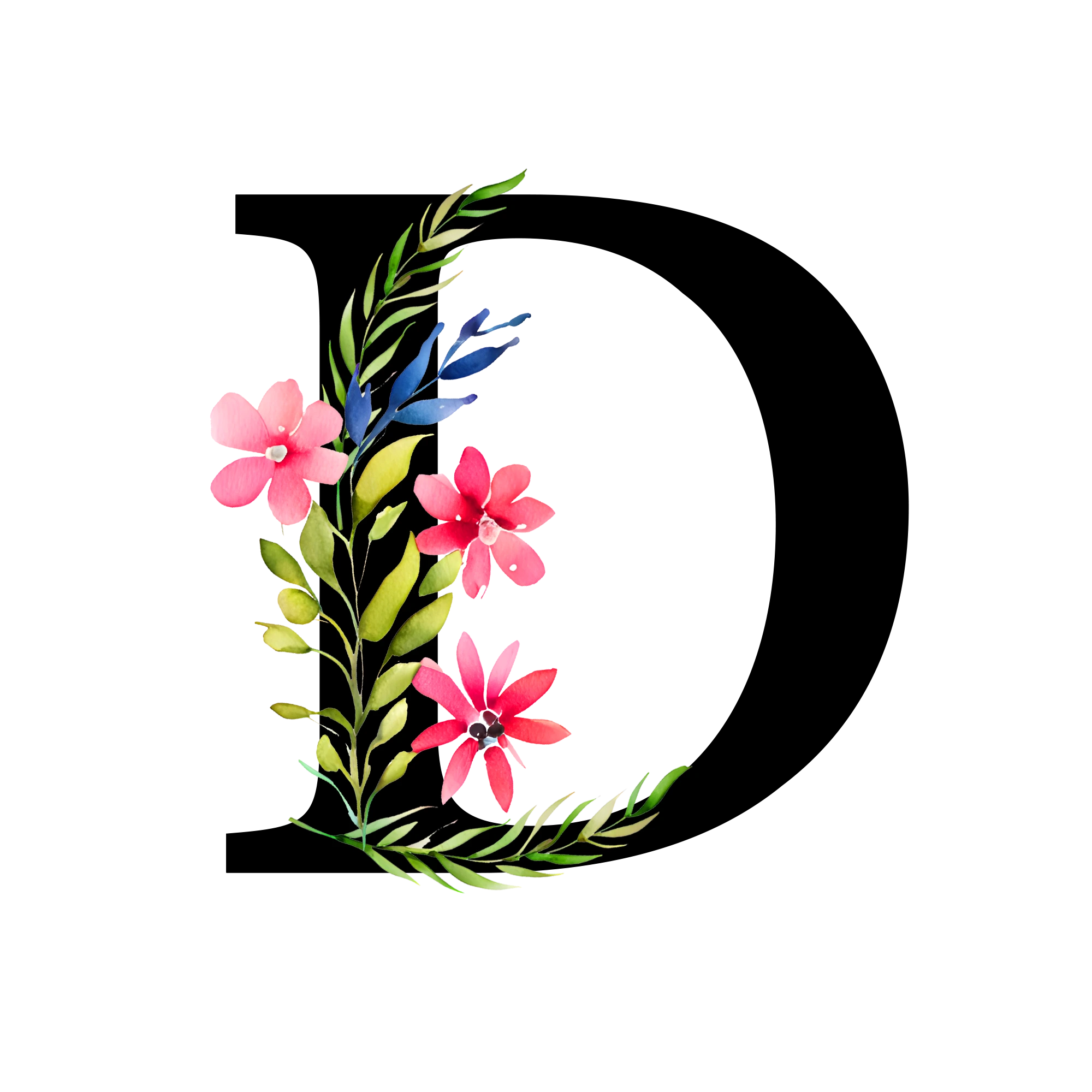 Free-Transparent-Floral-Alphabet-Illustration-letter-D